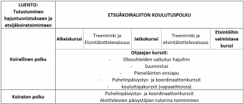 koulutuspolku6